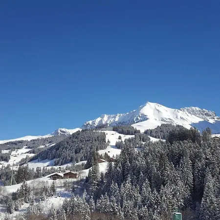 Apartment Waeschhuesi By Interhome Adelboden