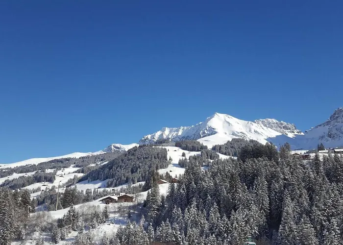 Apartmán Waeschhuesi By Interhome Adelboden